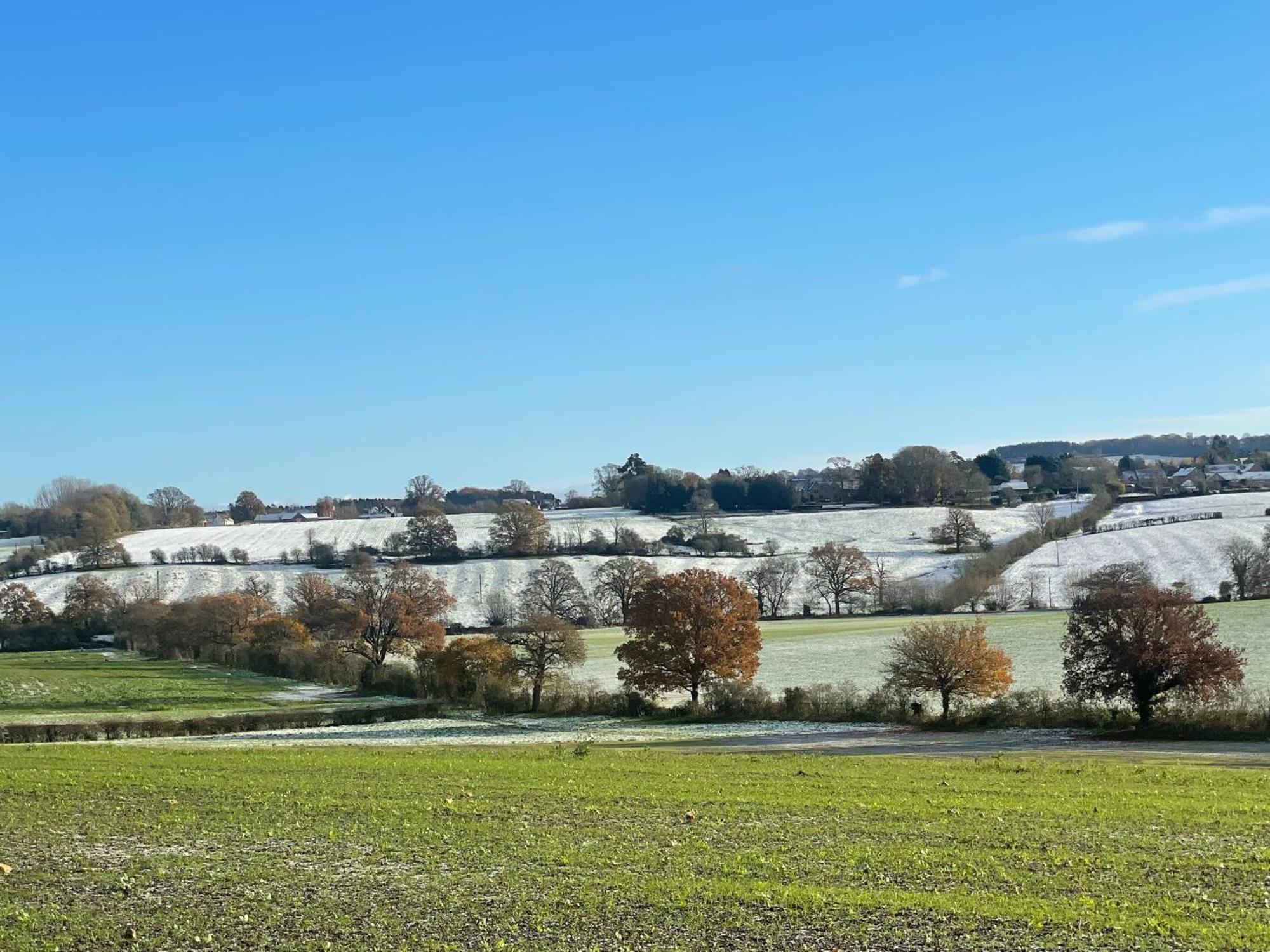 Bank Cottage Studio - Luxury Cotswolds Haven For Two Shipston-on-Stour Екстер'єр фото